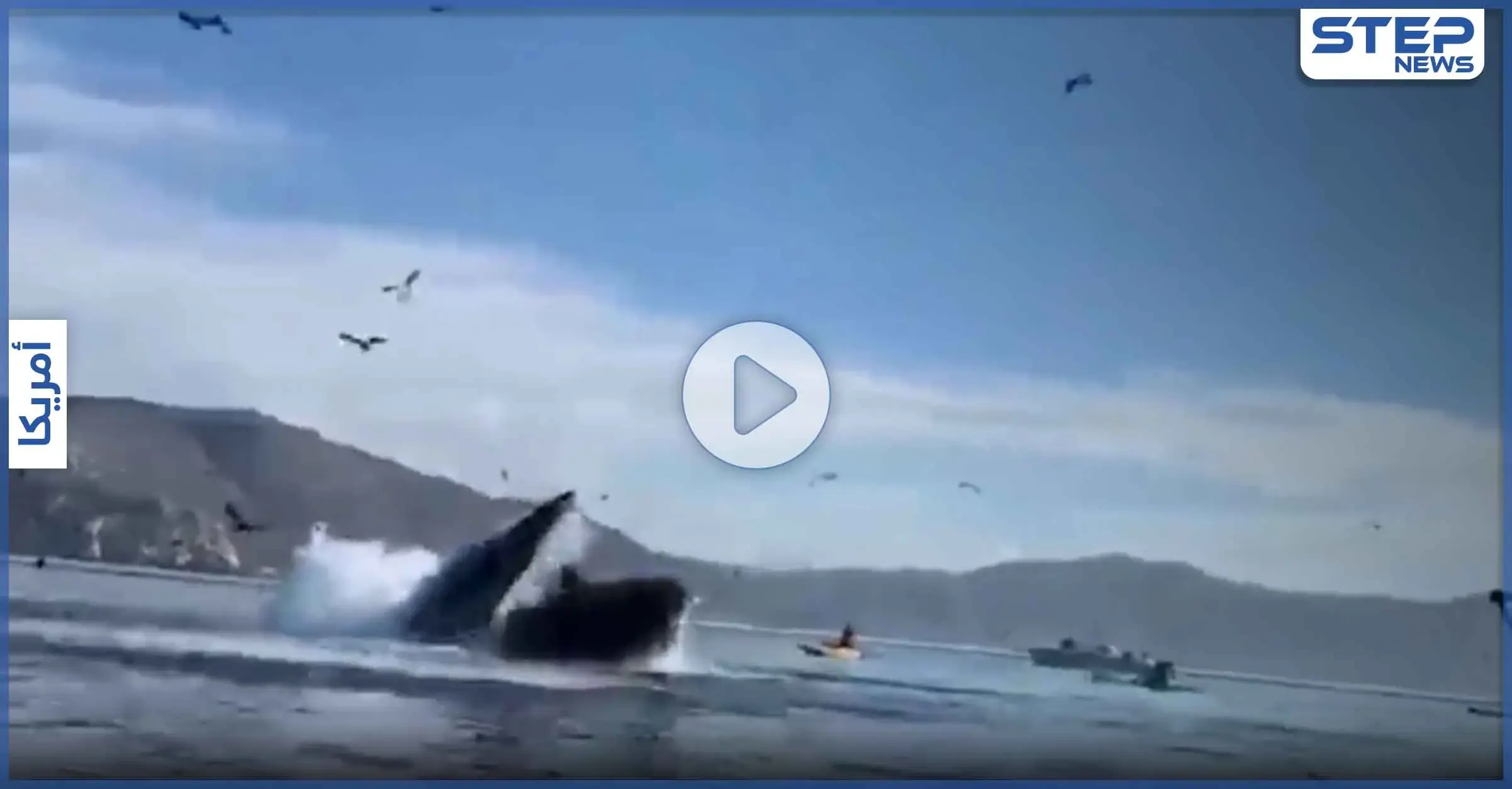 بالفيديو|| حوت ضخم يبتلع زورقاً وعلى متنه راكبتَين في أمريكا: فوكس نيوز