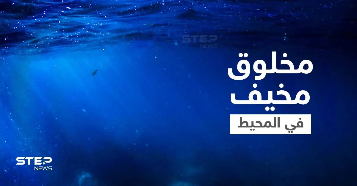 مخلوق غريب بفك مزدوج وجزء من القرش وآخر كالأفعى يظهر في المحيط الهادئ ويثير الرعب (صورة): مخلوق غريب