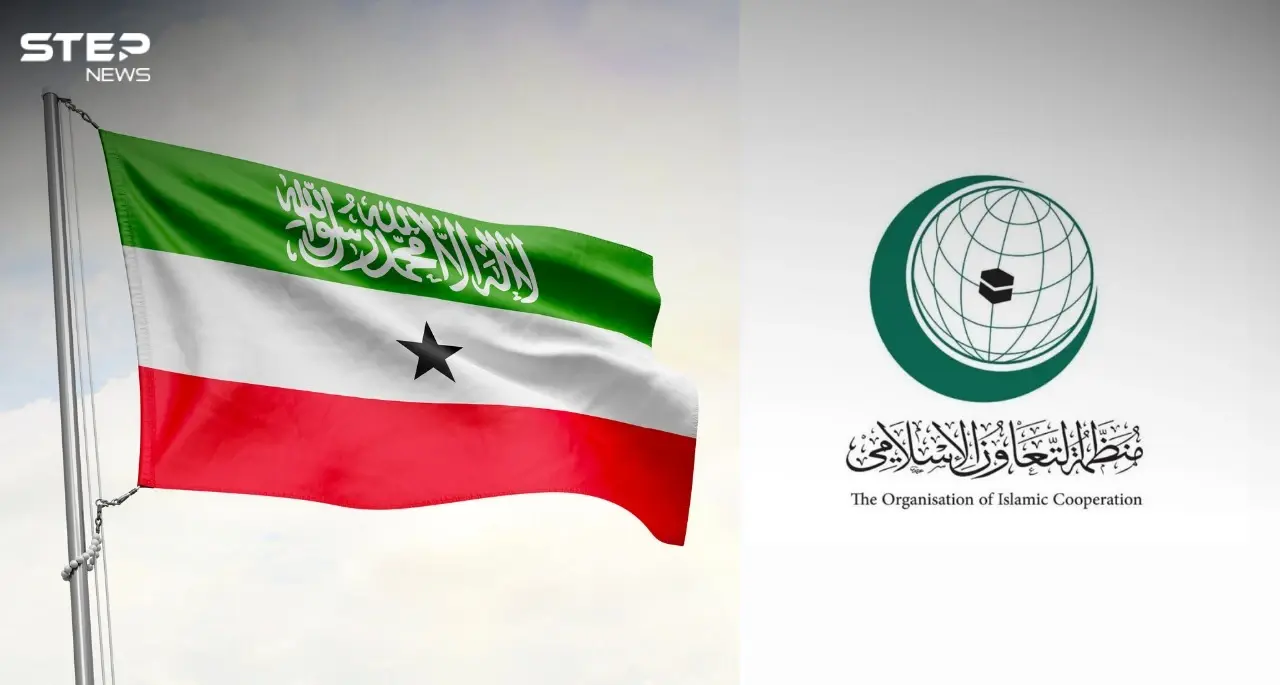 بيان منظمة التعاون الإسلامي يثير غضباً واسعاً بين أبناء صوماليلاند: اخبار العالم