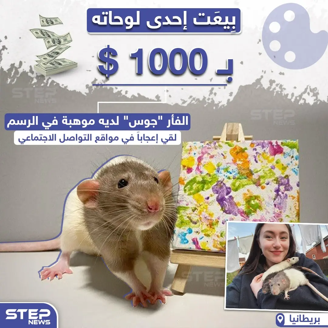 لوحة فنية بريشة فأر تباع بأكثر من 1000 دولار: مدريد