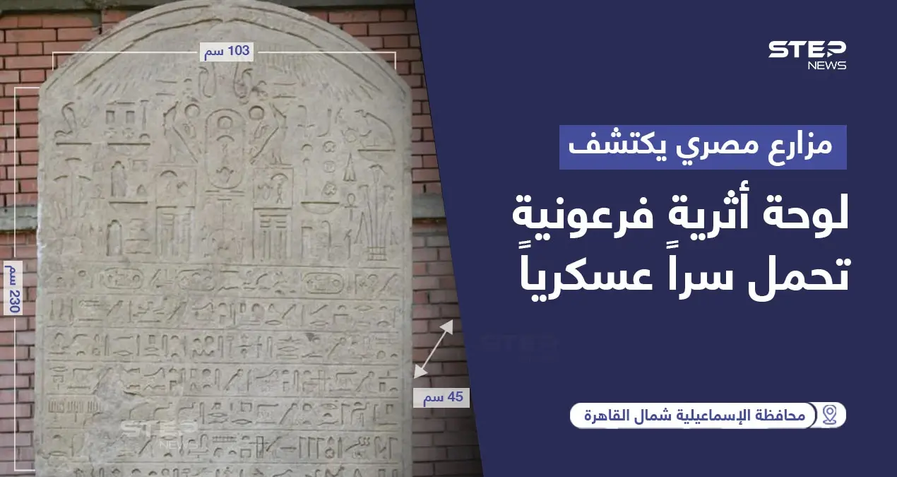 مزارع مصري يكتشف لوحة أثرية فرعونية تحمل سراً عسكرياً: خبر وصورة العالم العربي