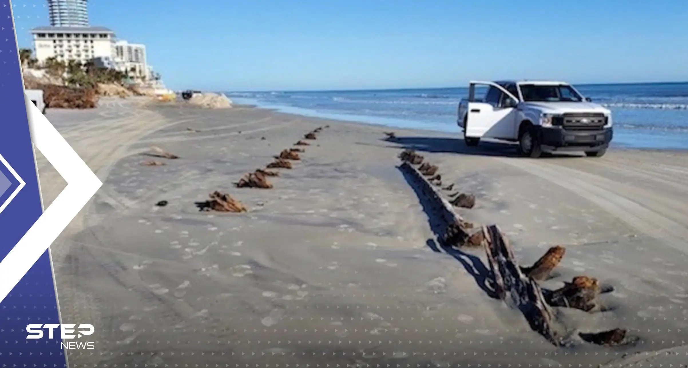 بالفيديو|| "مخلوقات غريبة" على شواطئ فلوريدا الأمريكية عقب ظاهرة "المد الأحمر": فلوريدا