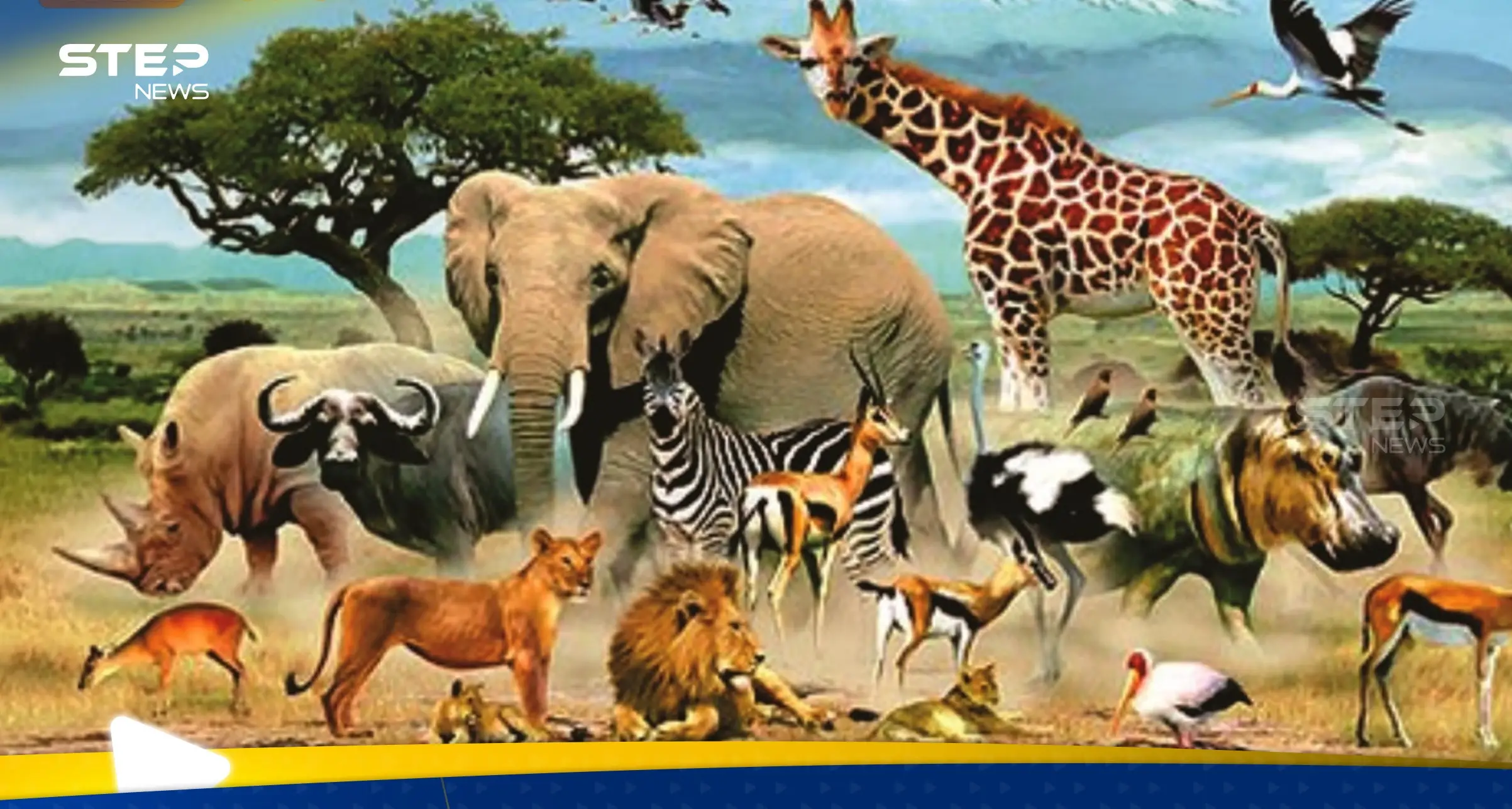 ما هو الحيوان الذي يصوم رمضان مثل البشر؟.. حقيقة أم خرافة: اي الحيوان الذي يصوم رمضان