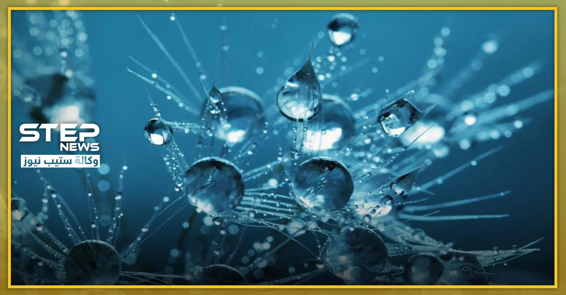 هل ينتقل فيروس كورونا عبر المياه.. وهل يشمل مياه الصرف الصحي وبراز المرضى؟: انتشار فايروس كورونا