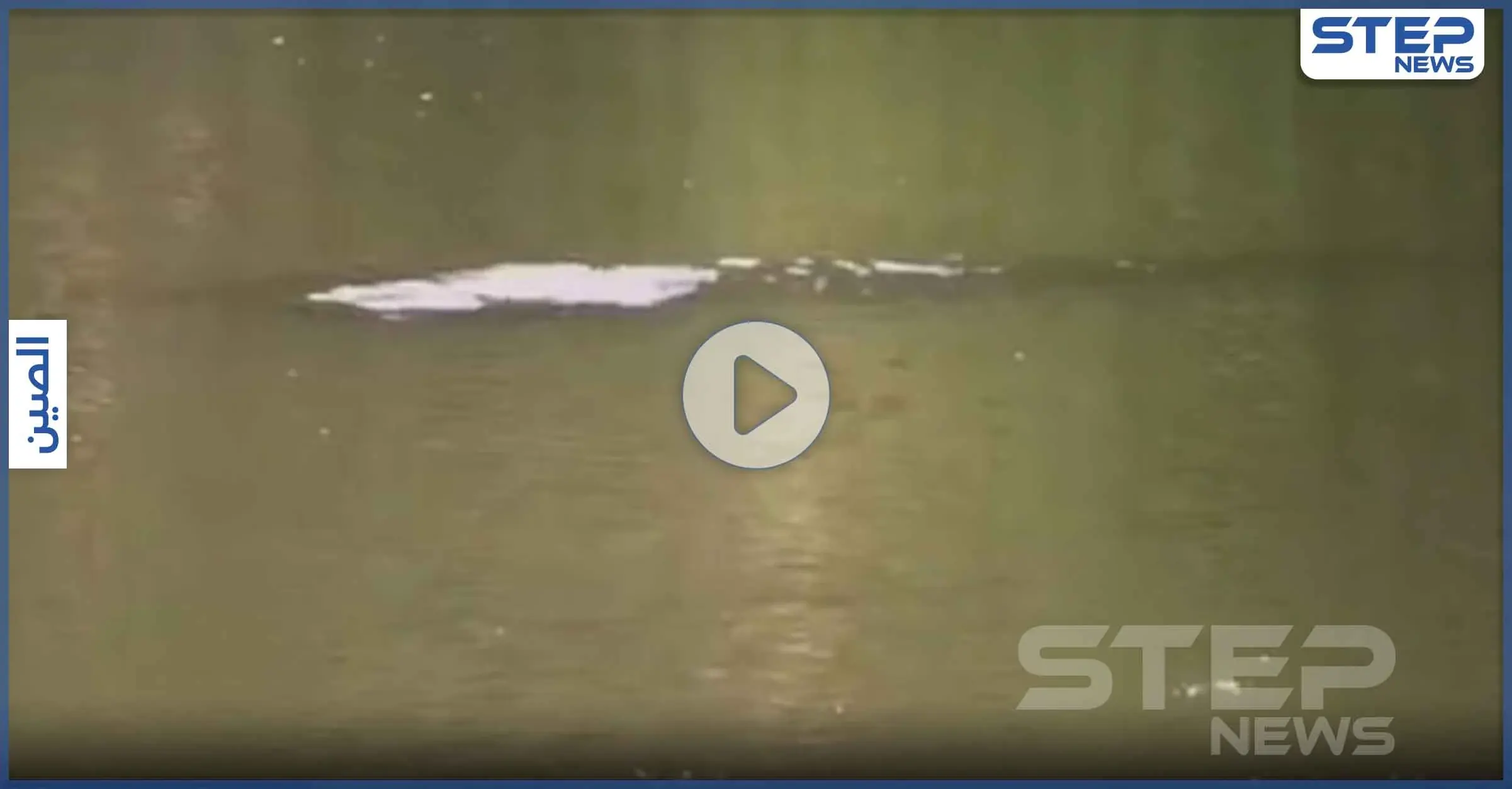 بالفيديو|| ظهور وحش أسطوري غامض في إحدى بحيرات الصين بطول 10 أقدام: صحيفة (Dahe News)