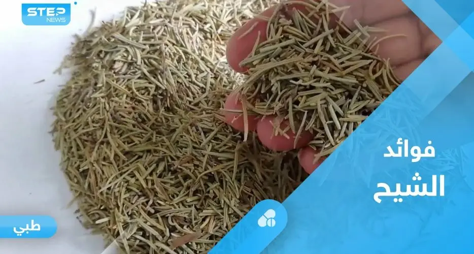 فوائد الشيح.. ماذا يحدث لأجسامنا عند شربه على الريق؟: فوائد الشيح