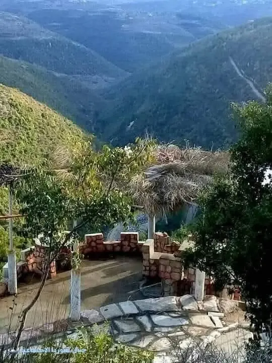 بانياس - عدسة الجمهور - وكالة ستيب نيوز