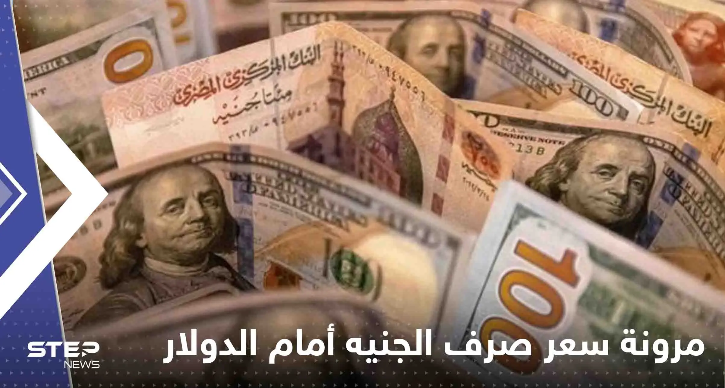 مصر تكشف سر مرونة سعر صرف الجنيه أمام الدولار: مرونة سعر صرف الجنيه