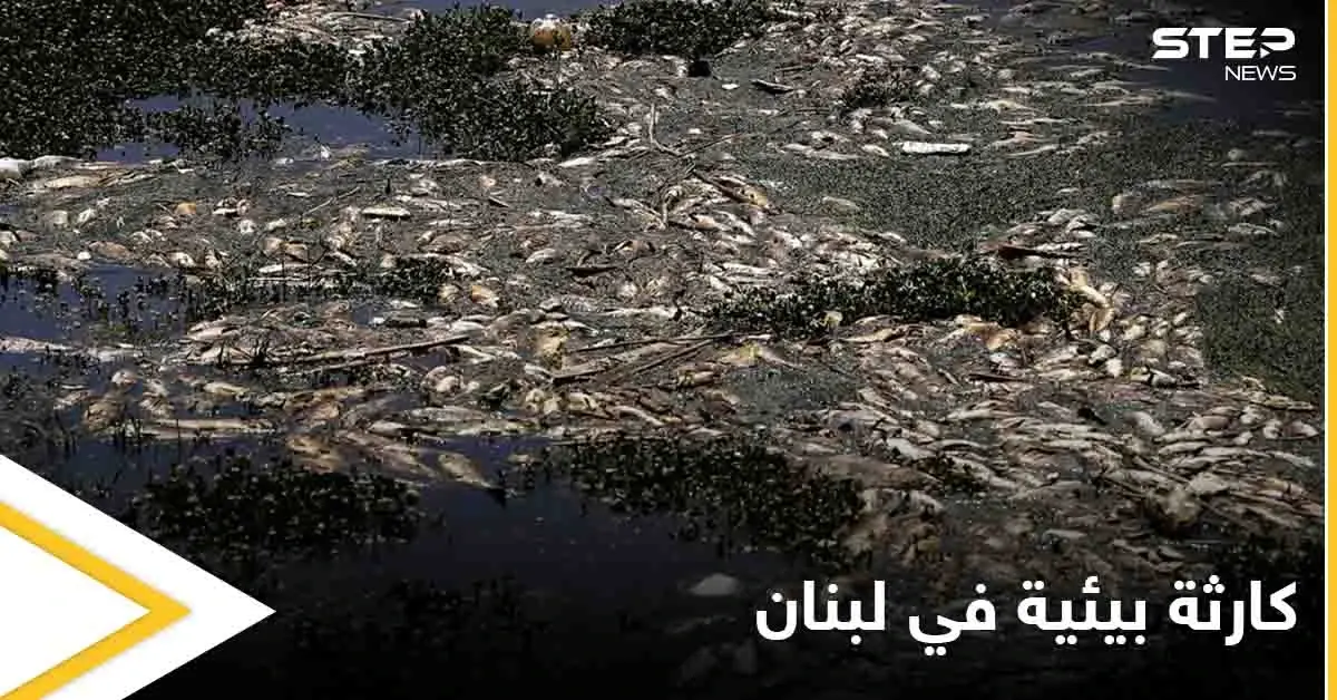 كارثة تهدد حياة اللبنانيين.. آلاف الأسماك النافقة تحمل فيروساً خطيراً تتكدس قرب الليطاني وتحذيرات من الجهات المعنية: الليطاني