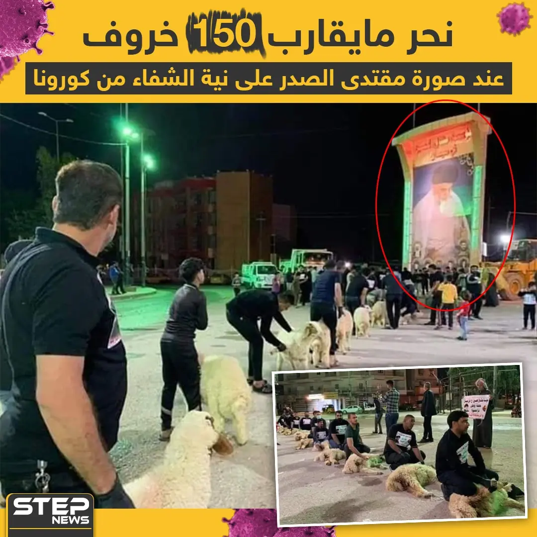 أنصار مقتدى الصدر يتصدون لفايروس كورونا بنحر الخراف: أنصار مقتدى الصدر