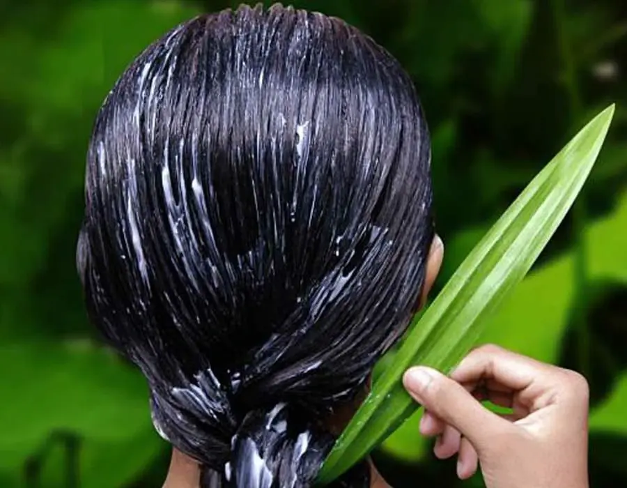 للعناية بــ الشعر الخفيف.. إليك 3 طرق طبيعية تعطيك نتائج مذهلة: الشعر