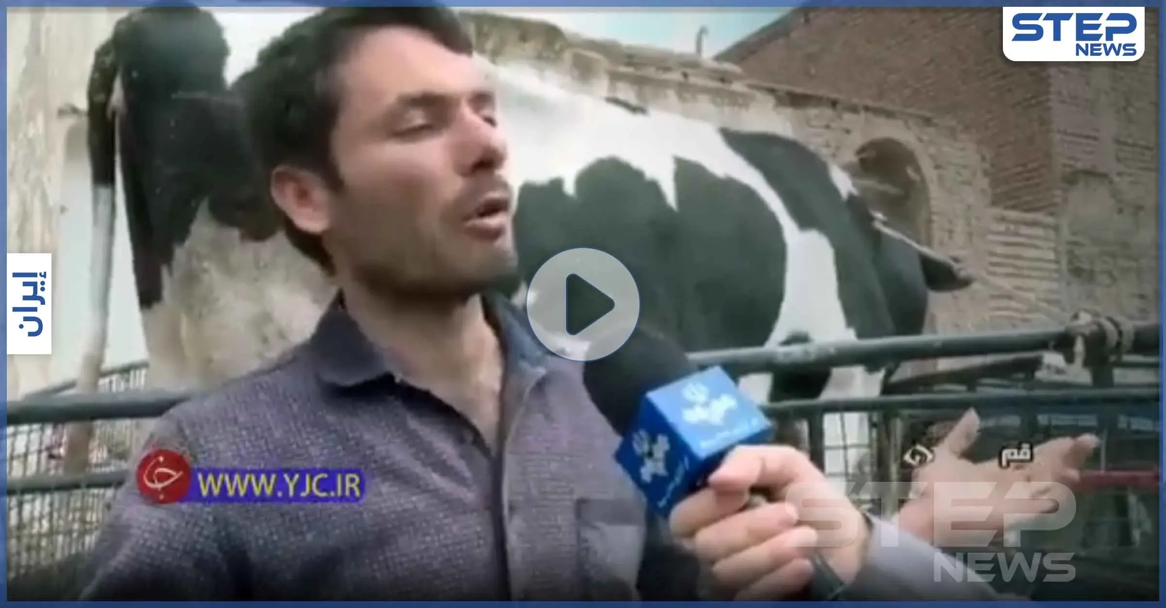 بالفيديو|| إيراني يحضر بقرته إلى البنك لسداد ديونه بسبب "كورونا": أقساط