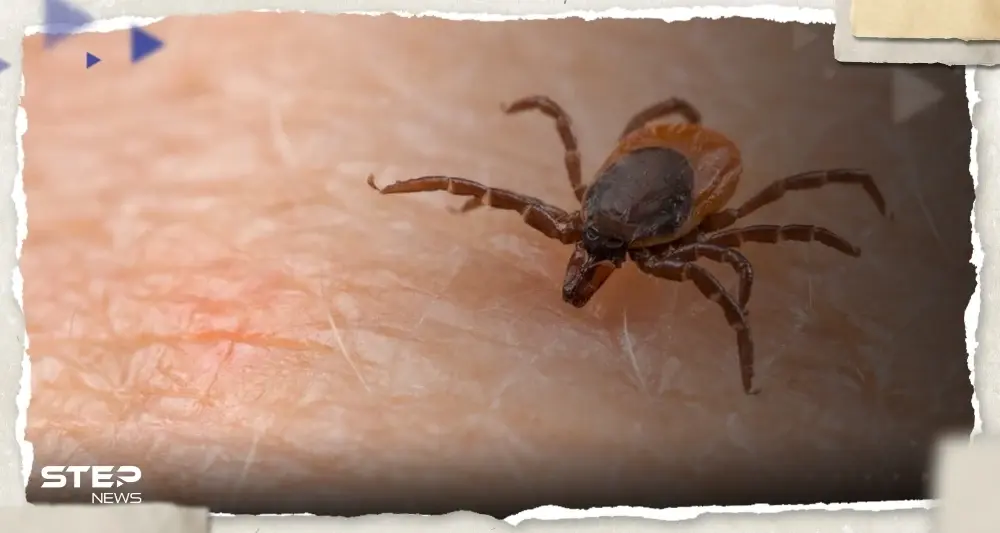 بعد وفاة "أوّل حالة بالعالم".. ما هو فيروس أوز الذي يمتص "الدم" وما خطورته: فيروس أوز