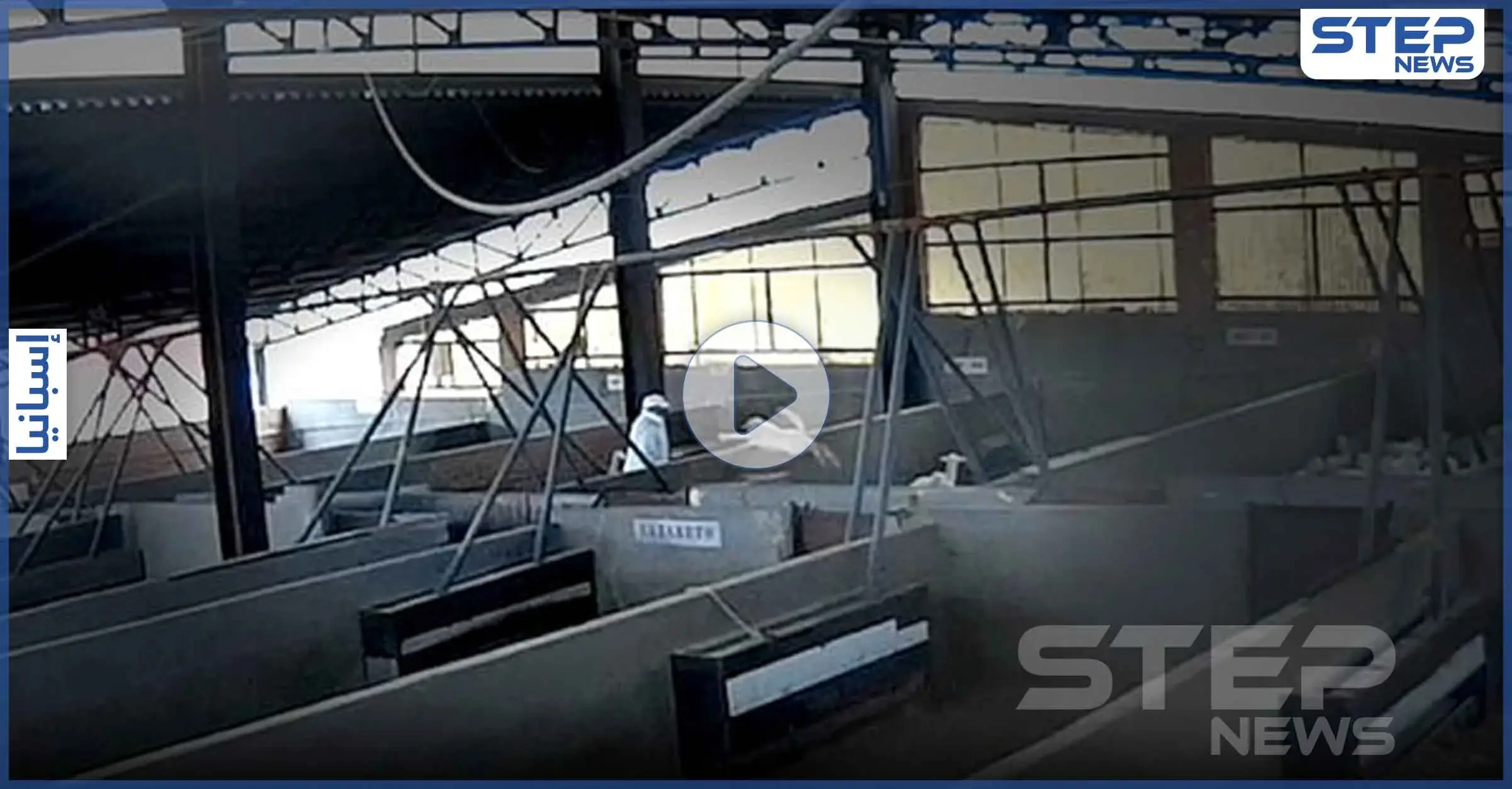 بالفيديو|| لقطات مسربة من مسلخ إسباني تظهر وحشية العمال وهم يقذفون الخراف الصغيرة ويركلونها: الحيوانات