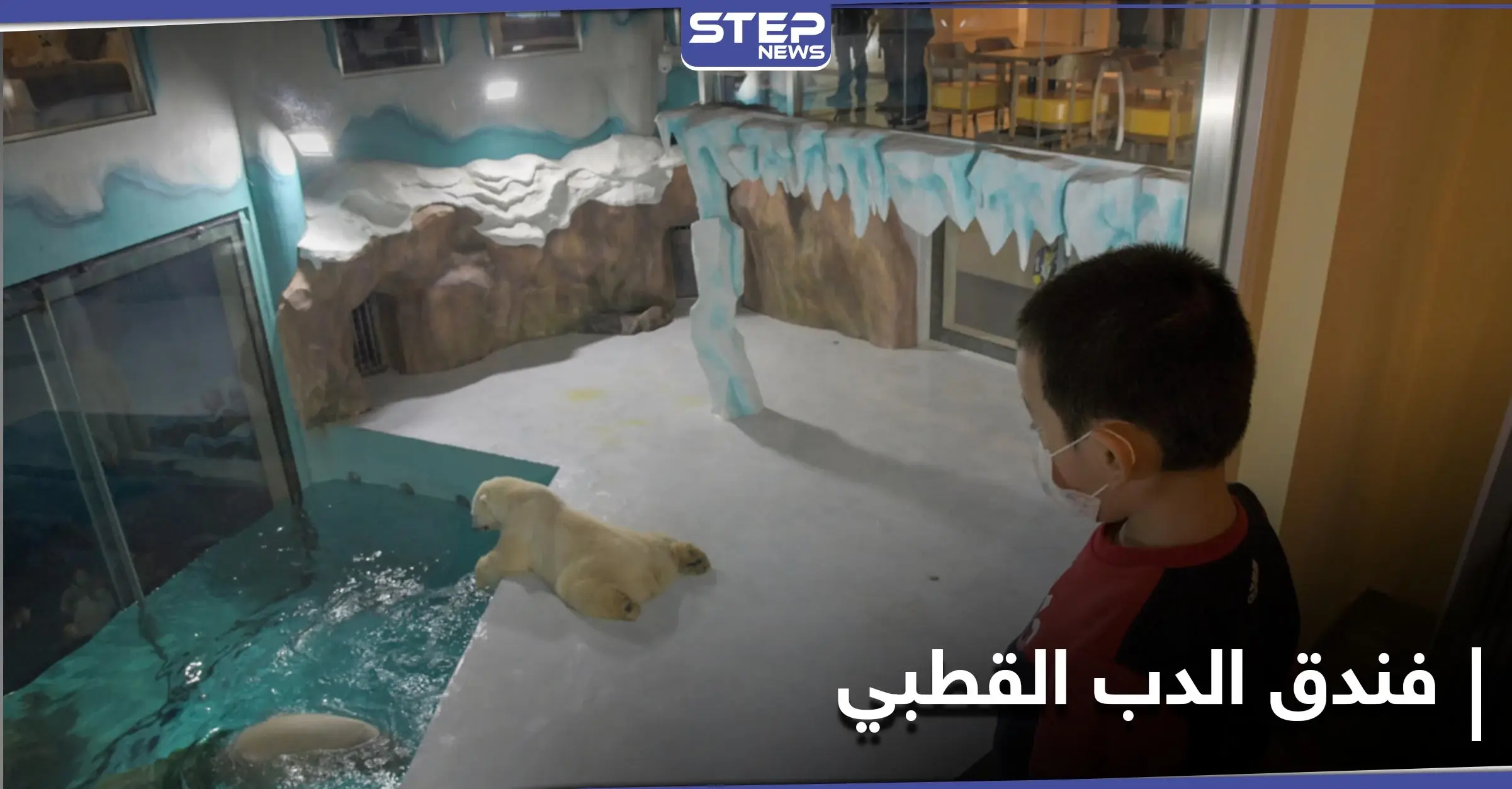 فندق الدب القطبي الأول في العالم يستقبل زواره في الصين: منوع