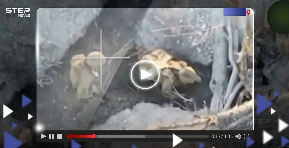 حاولت إسقاطها بالبنادق.. شاهد ماذا فعلت مسيرة انتحارية روسية بمجموعة أوكرانية متحصنة داخل خندق: القرم