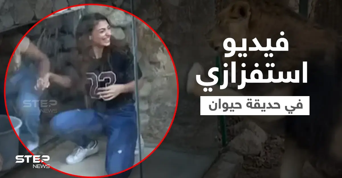 مشهد استفزازي لفتاتين مع أسد داخل حديقة حيوان في لبنان يثير جدلاً واسعاً (فيديو): حقوق الحيوان
